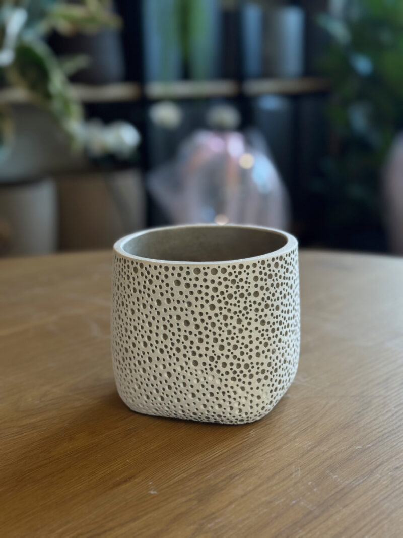 Τσιμεντένιο Κασπώ Lava Dots - Image 10