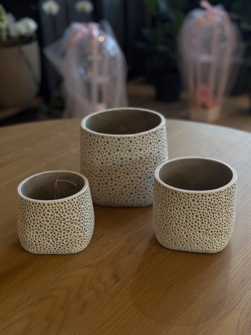 Τσιμεντένιο Κασπώ Lava Dots - Image 5
