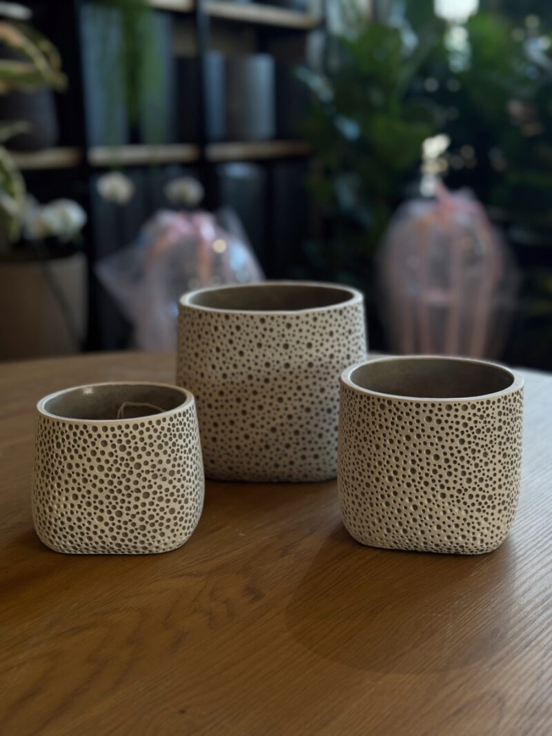 Τσιμεντένιο Κασπώ Lava Dots - Image 15