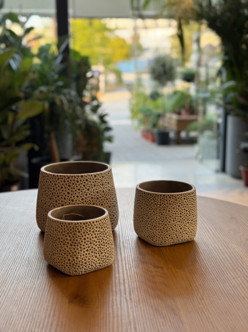 Τσιμεντένιο Κασπώ Lava Dots - Image 14