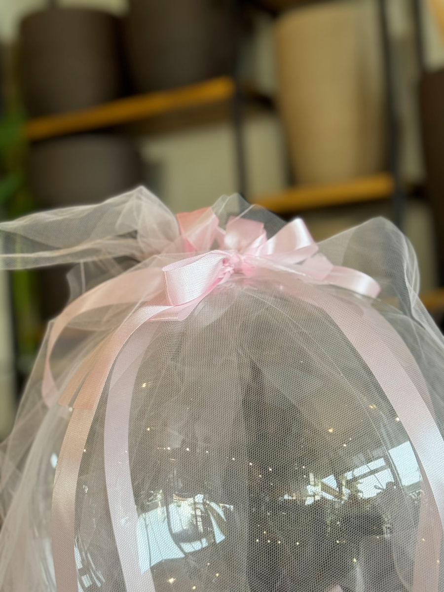 Baby Box Girl – Το Αερόστατο των Ονείρων «Ροζ Συννεφάκι» - Image 3