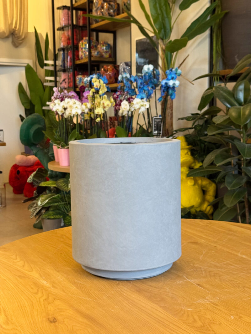 Κασπώ Fiberglass Modern Grey - Image 9