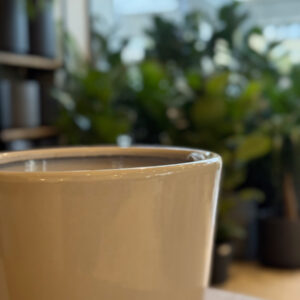 Alternative view of Κεραμική Γλάστρα White Vase