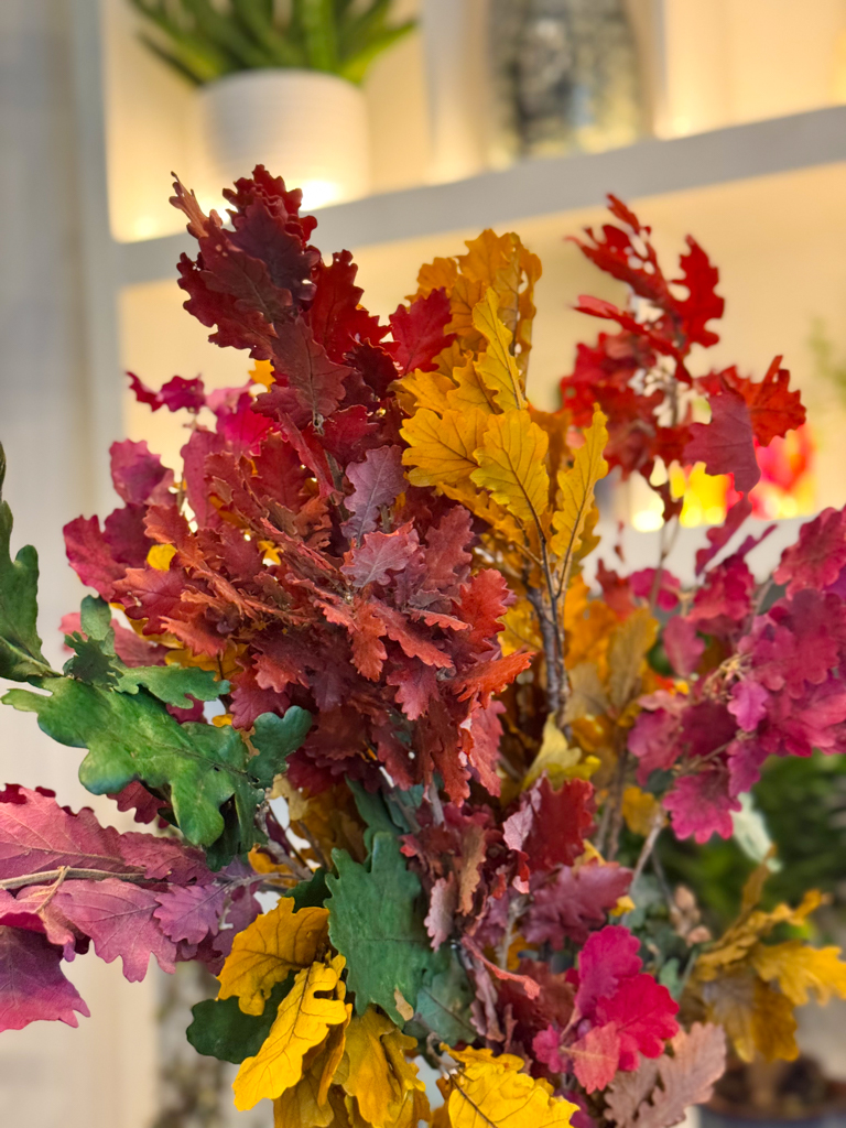 Οι αποχρώσεις τους κυμαίνονται από βαθύ κόκκινο και χρυσοκίτρινο έως πράσινο ελιάς και καφέ κεραμιδί, δημιουργώντας έναν πλούσιο, ζεστό συνδυασμό που θυμίζει τα φθινοπωρινά δάση λίγο πριν τον χειμώνα. Κάθε φύλλο έχει τη δική του φυσική ιδιομορφία, προσδίδοντας μοναδικότητα σε κάθε ανθοσύνθεση ή διακοσμητικό σύνολο.