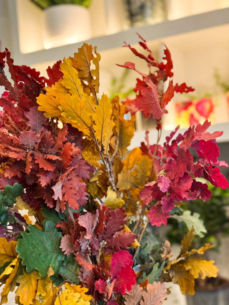 Είναι ιδανικά για ανθοσυνθέσεις, στεφάνια, διακόσμηση βιτρίνας ή επιτραπέζιες συνθέσεις, αλλά και για να διακοσμήσουν φυσικά τον χώρο του σπιτιού. Χάρη στη διαδικασία κηρώσεως, διατηρούν τη φρεσκάδα και την ένταση των χρωμάτων τους, χωρίς να μαραίνονται ή να φθείρονται εύκολα. Μπορούν να τοποθετηθούν μόνα τους σε βάζο για ένα φυσικό και καλλιτεχνικό αποτέλεσμα ή να συνδυαστούν με αποξηραμένα άνθη για μια πιο ολοκληρωμένη φθινοπωρινή ατμόσφαιρα. Η φυσική υφή τους και η λαμπερή επιφάνεια αναδεικνύουν το φως του χώρου, δημιουργώντας ένα αίσθημα θαλπωρής και οικειότητας.