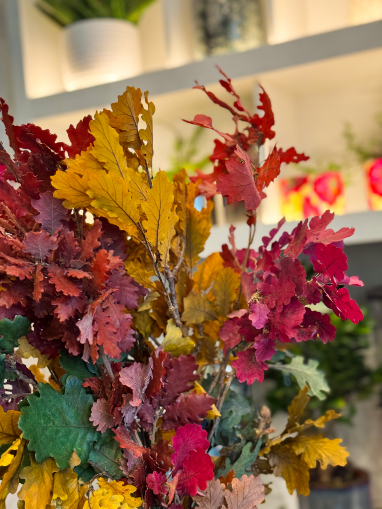 Είναι ιδανικά για ανθοσυνθέσεις, στεφάνια, διακόσμηση βιτρίνας ή επιτραπέζιες συνθέσεις, αλλά και για να διακοσμήσουν φυσικά τον χώρο του σπιτιού. Χάρη στη διαδικασία κηρώσεως, διατηρούν τη φρεσκάδα και την ένταση των χρωμάτων τους, χωρίς να μαραίνονται ή να φθείρονται εύκολα. Μπορούν να τοποθετηθούν μόνα τους σε βάζο για ένα φυσικό και καλλιτεχνικό αποτέλεσμα ή να συνδυαστούν με αποξηραμένα άνθη για μια πιο ολοκληρωμένη φθινοπωρινή ατμόσφαιρα. Η φυσική υφή τους και η λαμπερή επιφάνεια αναδεικνύουν το φως του χώρου, δημιουργώντας ένα αίσθημα θαλπωρής και οικειότητας.