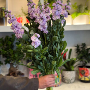 Alternative view of Αρωματική Βιολέτα – Η Ντελικάτη Ομορφιά της Φύσης