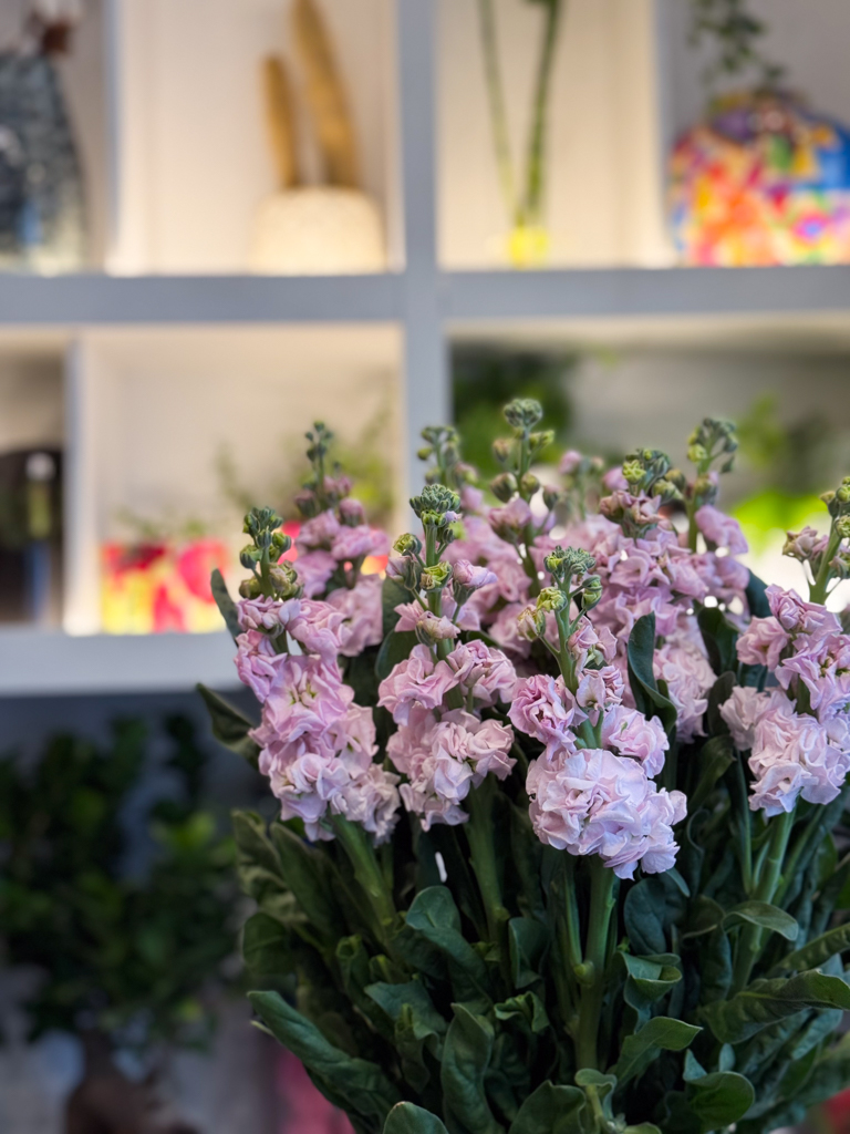 Αρωματική Βιολέτα – Η Ντελικάτη Ομορφιά της Φύσης - Image 6