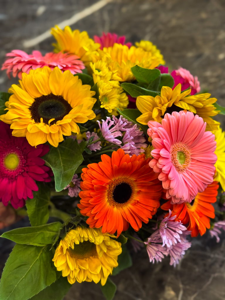 Ανθοδέσμη με Ηλίανθους, Ζέρμπερες και Χρυσάνθεμα Σαντίνι - Image 3