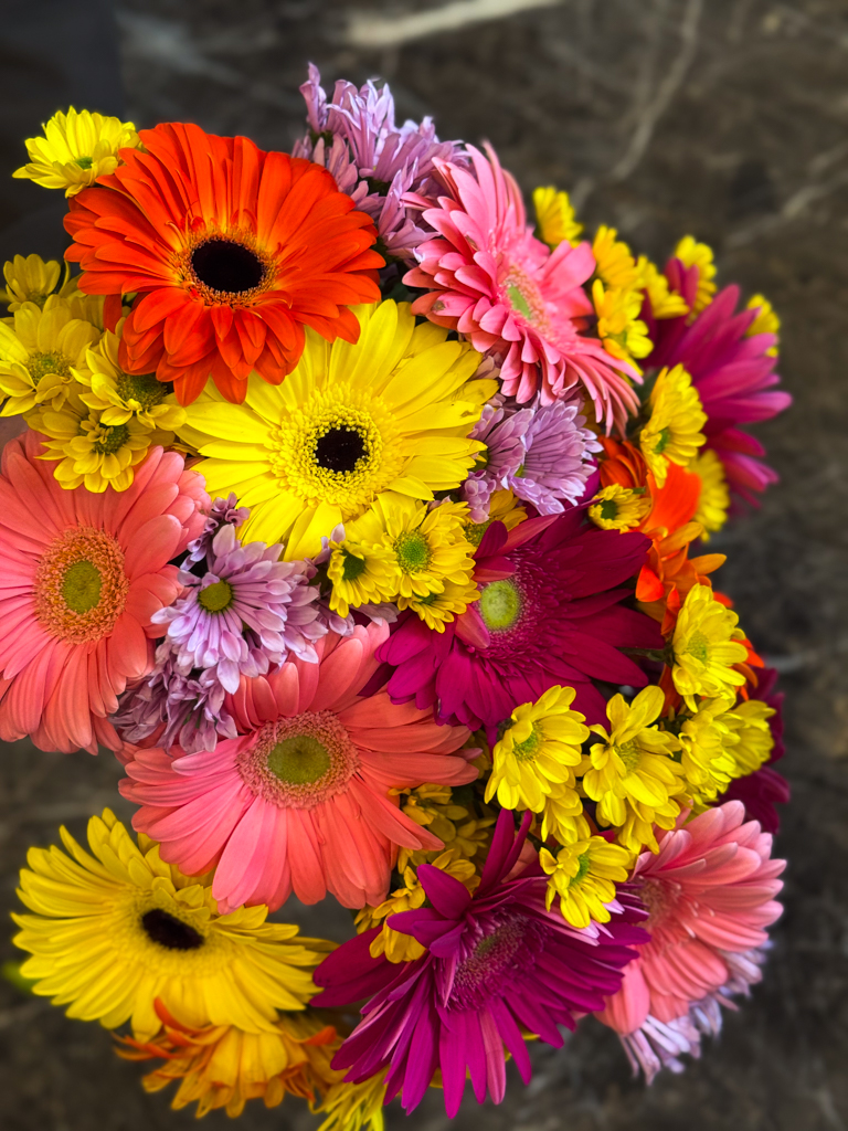 Ανθοδέσμη με Ζέρμπερες - Image 10