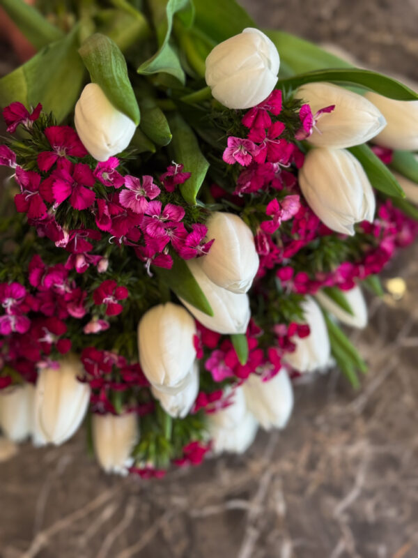 Οι λευκές τουλίπες αποτελούν σύμβολο αγνότητας, νέας αρχής και διακριτικής ομορφιάς. Με τα απαλά, λεία πέταλά τους και τα μακριά, κομψά στελέχη, χαρίζουν στην ανθοδέσμη μια αίσθηση ισορροπίας και ηρεμίας. Πλάι τους, το γαλλικό γαρύφαλλο προσφέρει ένταση και χαρακτήρα, με τα πλούσια, κυματιστά πέταλα και τις ζωηρές αποχρώσεις του ροζ και του φούξια να δημιουργούν ένα εντυπωσιακό κοντράστ.