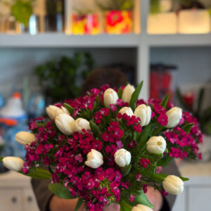 Η ανθοδέσμη με λευκές τουλίπες και γαλλικό γαρύφαλλο είναι ένας ύμνος στην απλότητα και την αρμονία των αντιθέσεων. Το αγνό λευκό των τουλιπών συναντά το έντονο ροζ–φούξ των γαλλικών γαρύφαλλων, δημιουργώντας μια σύνθεση που συνδυάζει την καθαρότητα με τη ζωντάνια. Η έμπνευση αντλείται από την εναλλαγή του χειμώνα και της άνοιξης, όταν το φως συναντά το χρώμα και η φύση ξαναγεννιέται.