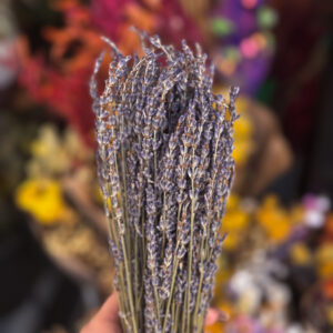 Αρωματική Αποξηραμένη Λεβάντα – Η Ουσία της Φυσικής Ηρεμίας