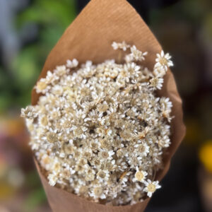 Η ομορφιά του λευκού στη πιο φυσική του μορφή. Αυτή η ανθοδέσμη μοιάζει με φωτογραφία σε φιλμ — απαλό φως, καθαρή υφή, σιωπή. Είναι η ουσία της ήρεμης πολυτέλειας, εκεί όπου κάθε πέταλο γίνεται μικρή υπόσχεση διάρκειας. Minimal, timeless, poetic.