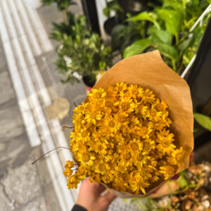 Σαν να κρατάς στα χέρια σου το φως του απογεύματος. Αυτή η ανθοδέσμη, ντυμένη στις αποχρώσεις του μελιού και του ήλιου, αιχμαλωτίζει τη ζεστασιά μιας μέρας που δε θέλεις να τελειώσει. Αποξηραμένα άνθη με φυσική λάμψη, λεπτές υφές και μια αύρα γήινης πολυτέλειας