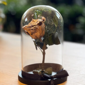 Ρόδο της Αθανασίας Χρυσό - Forever Rose Gold