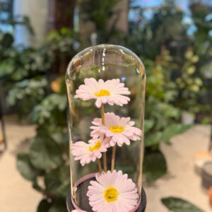 Alternative view of Μαργαρίτες σε Γυάλα – 4 Άνθη