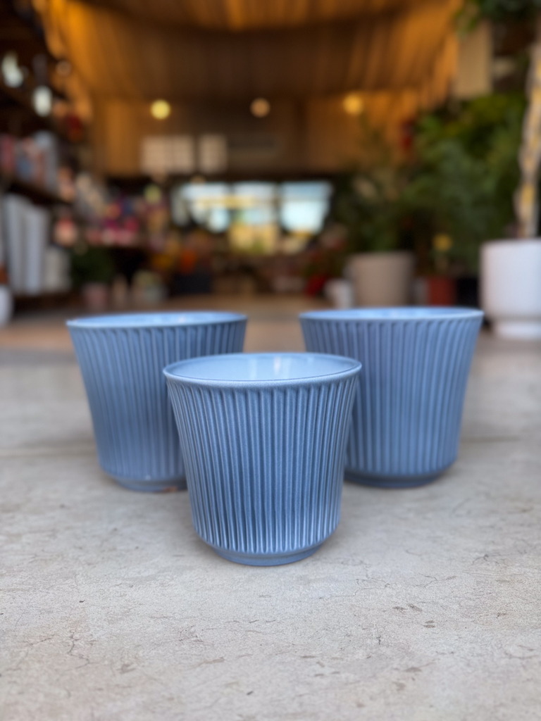 Κασπώ Ribbed Μπλε