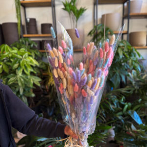 Αποξηραμένο Lagurus (Λαγουρόχορτο)