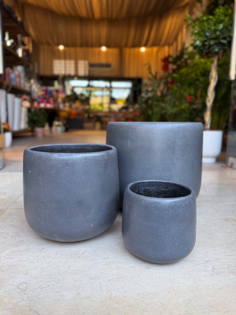 Κασπώ Anthracite